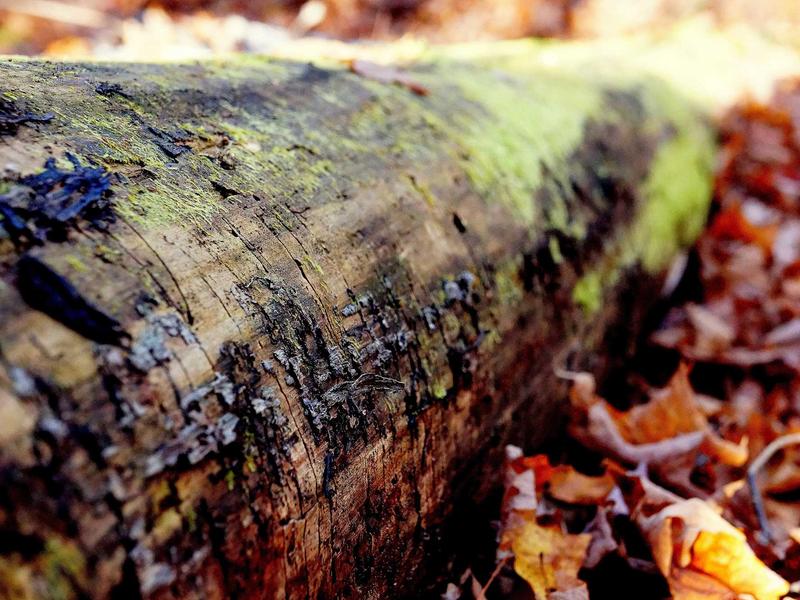 sudoku import puzzle screenshot 6